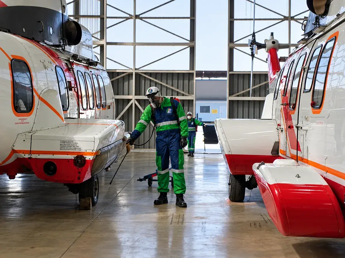 Pest Controle, pela equipa da Efrasa Service